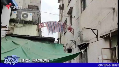 網友爆料 狂飆 取景地 舊廠街 拍照要收費